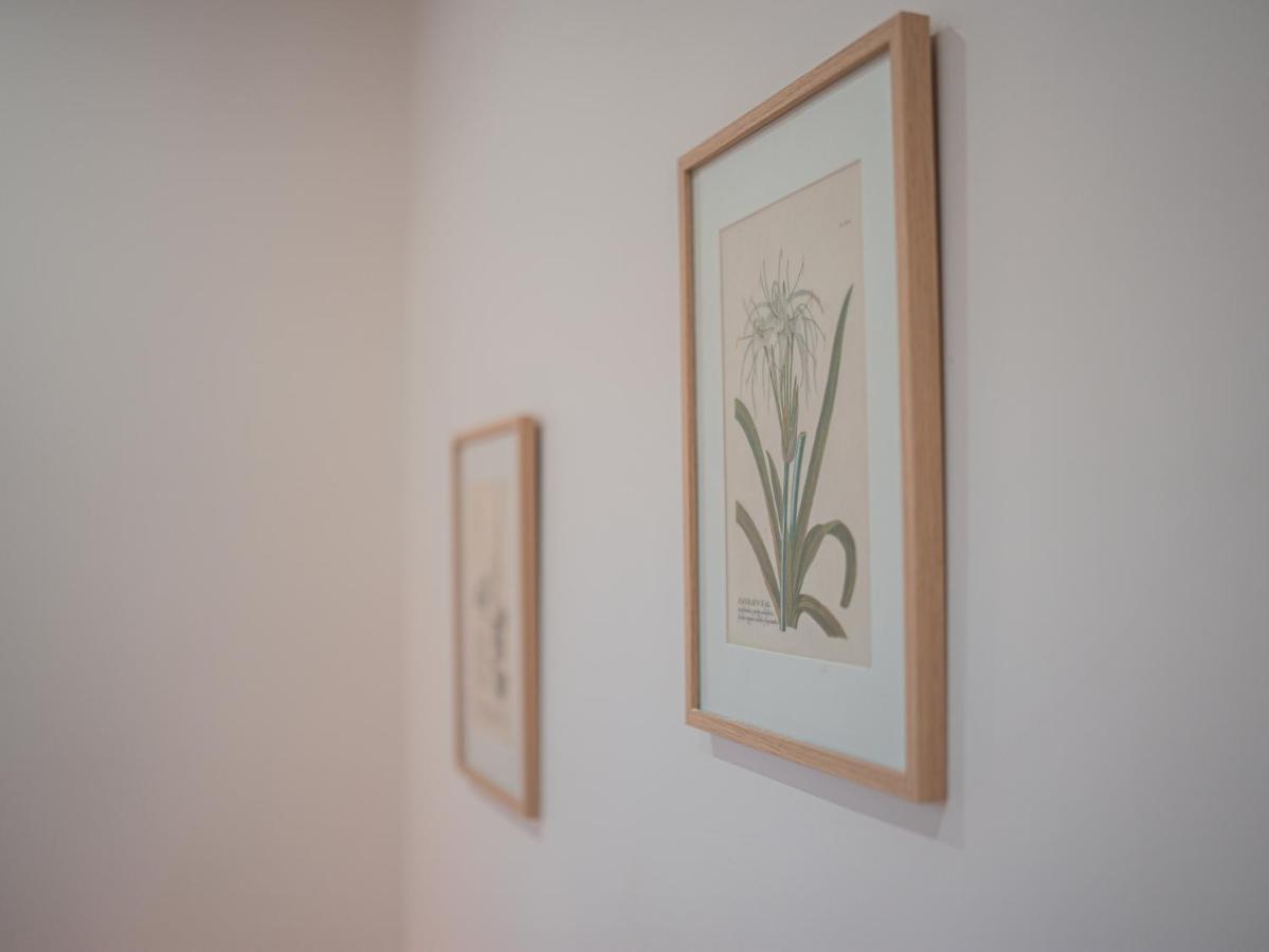 L'Annexe Clermont Ferrand Daire Dış mekan fotoğraf